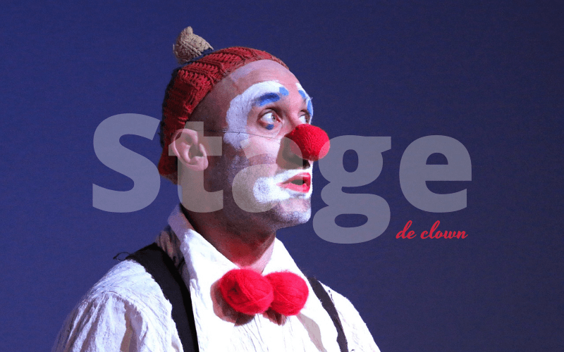 Stages de clown au Lion